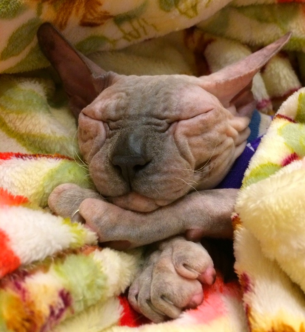 Daily Pictures. Part 2 (65 pics) Daily Pictures. Part 2 (65 pics)