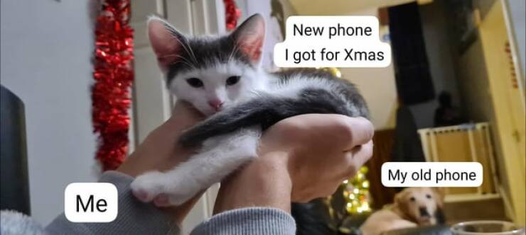 Daily Pictures. Part 2 (65 pics) Daily Pictures. Part 2 (65 pics)