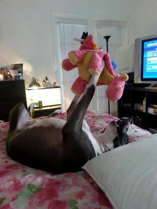 Daily Pictures. Part 1 (66 pics) Daily Pictures. Part 1 (66 pics)