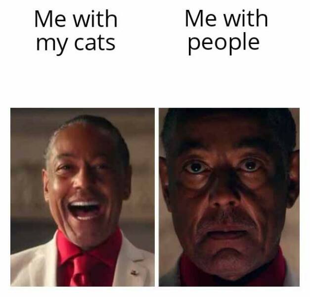 Daily Pictures. Part 2 (65 pics) Daily Pictures. Part 2 (65 pics)