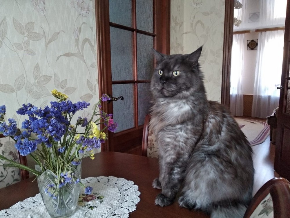 Daily Pictures. Part 2 (65 pics) Daily Pictures. Part 2 (65 pics)