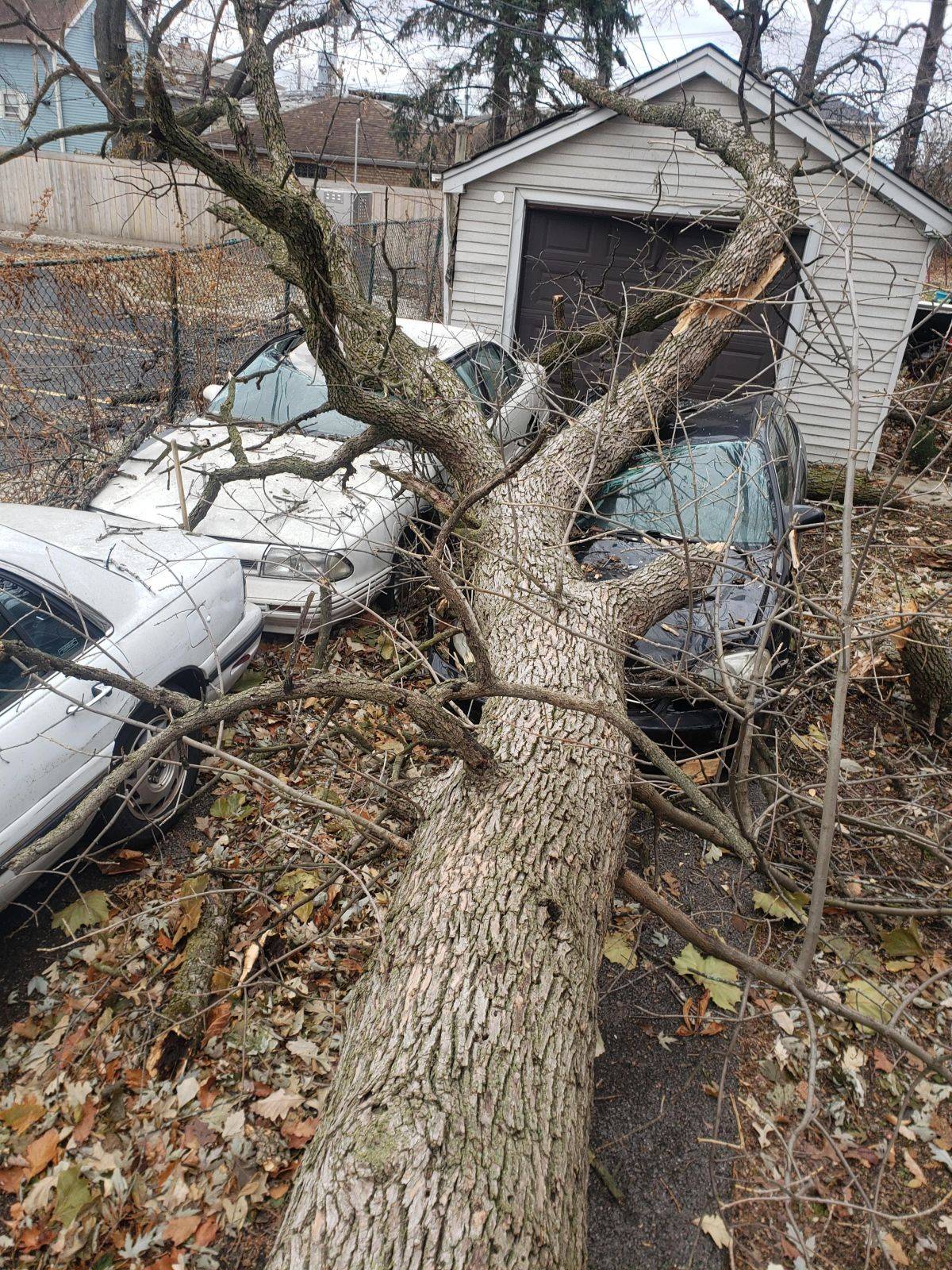 Daily Pictures. Part 2 (65 pics) Daily Pictures. Part 2 (65 pics)