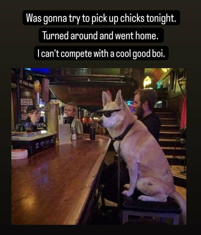 Daily Pictures. Part 2 (65 pics) Daily Pictures. Part 2 (65 pics)