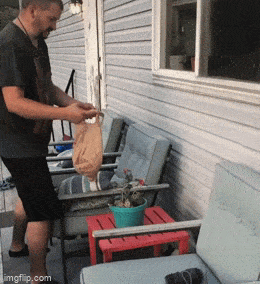 Acid GIFs, January 28 (25 gifs) Acid GIFs, January 28 (25 gifs)