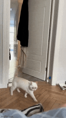 Acid GIFs, January 28 (25 gifs) Acid GIFs, January 28 (25 gifs)