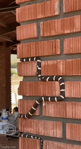 Acid GIFs, January 28 (25 gifs) Acid GIFs, January 28 (25 gifs)