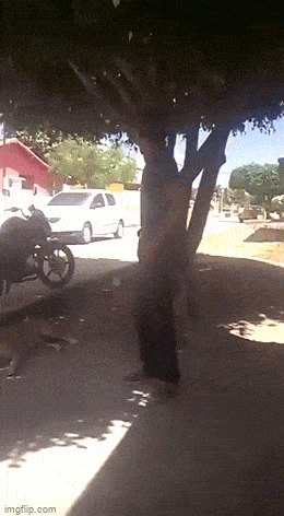 Acid GIFs, January 28 (25 gifs) Acid GIFs, January 28 (25 gifs)