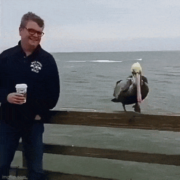 Acid GIFs, January 28 (25 gifs) Acid GIFs, January 28 (25 gifs)