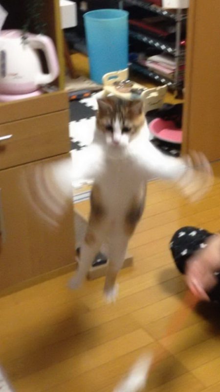 Right Moment (25 pics)