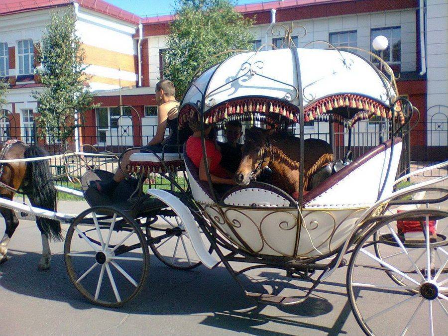 Daily Pictures. Part 1 (69 pics)