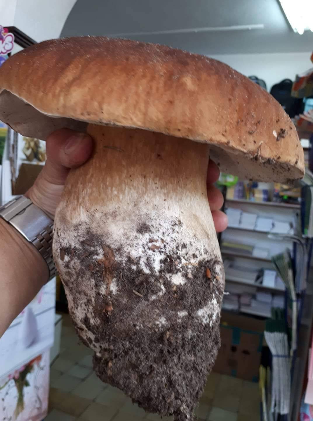 Daily Pictures. Part 1 (69 pics)