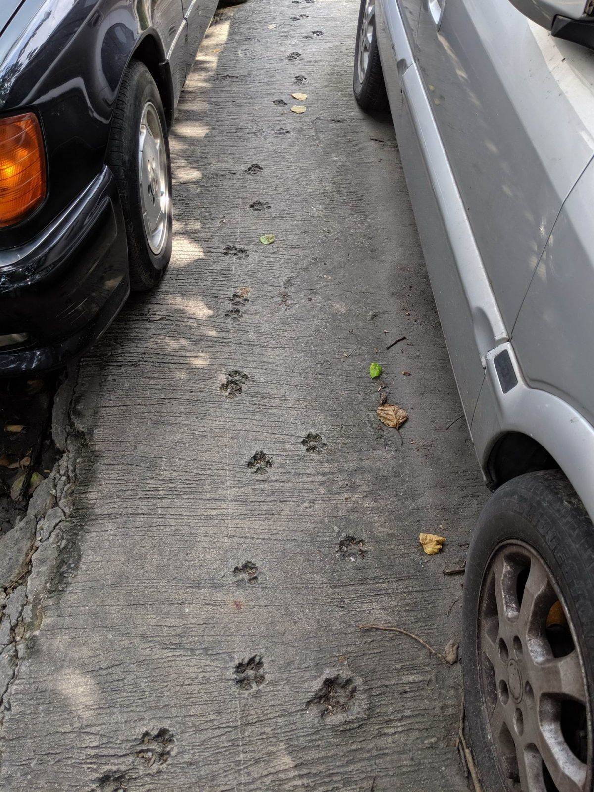 Daily Pictures. Part 1 (69 pics)