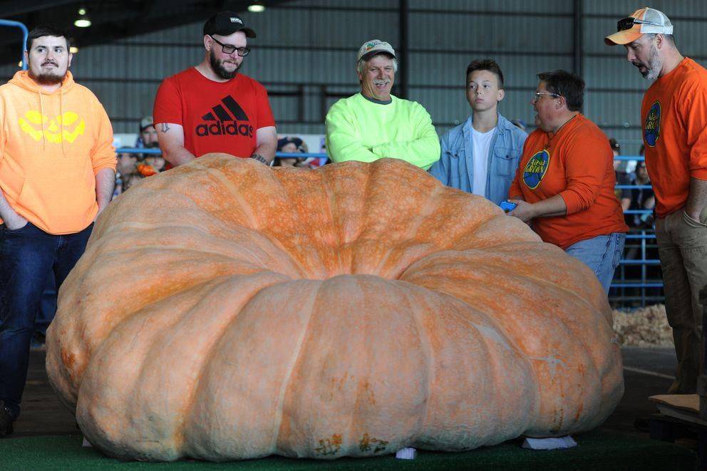 Daily Pictures. Part 1 (69 pics)