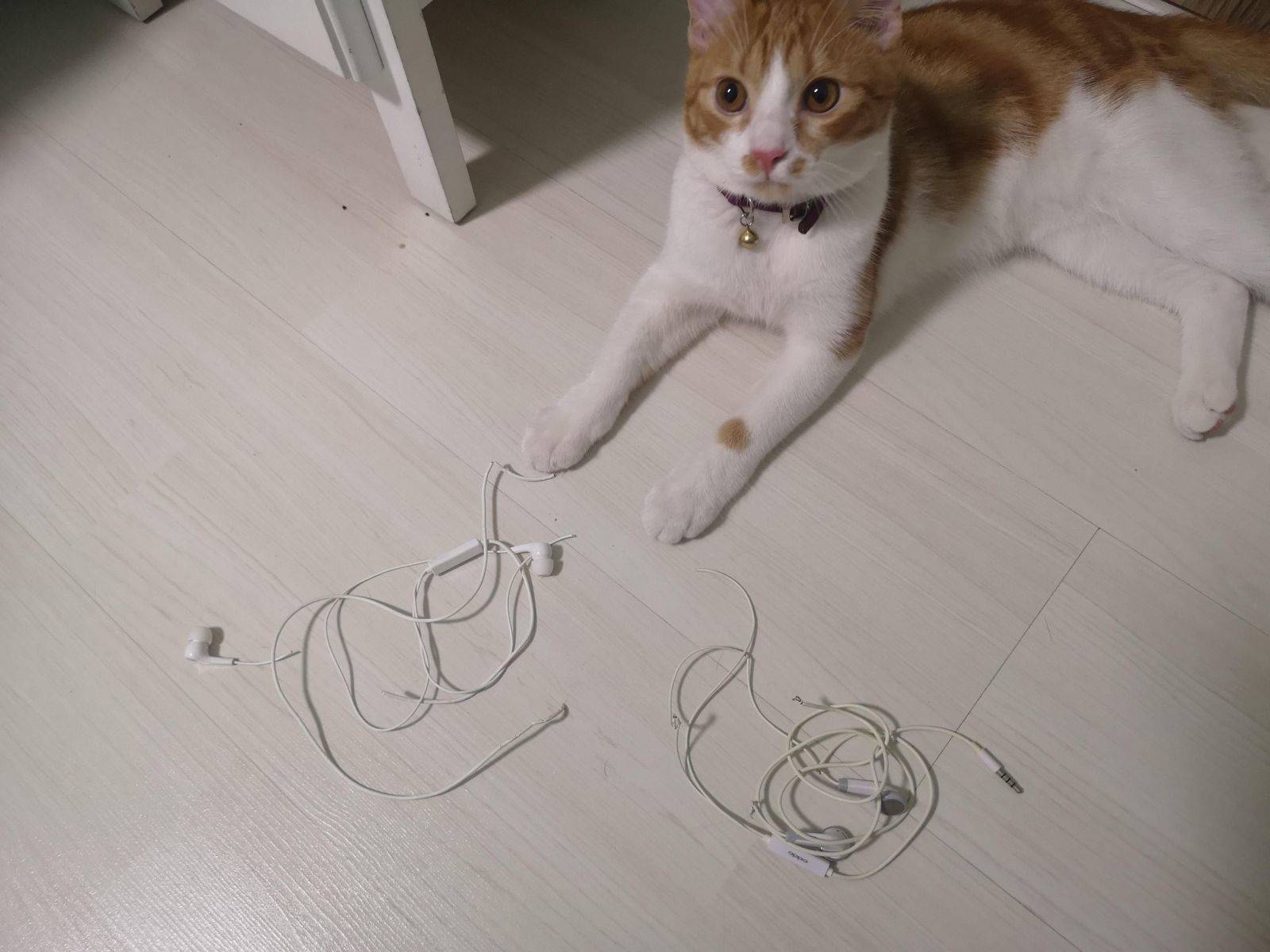 Daily Pictures. Part 1 (69 pics)