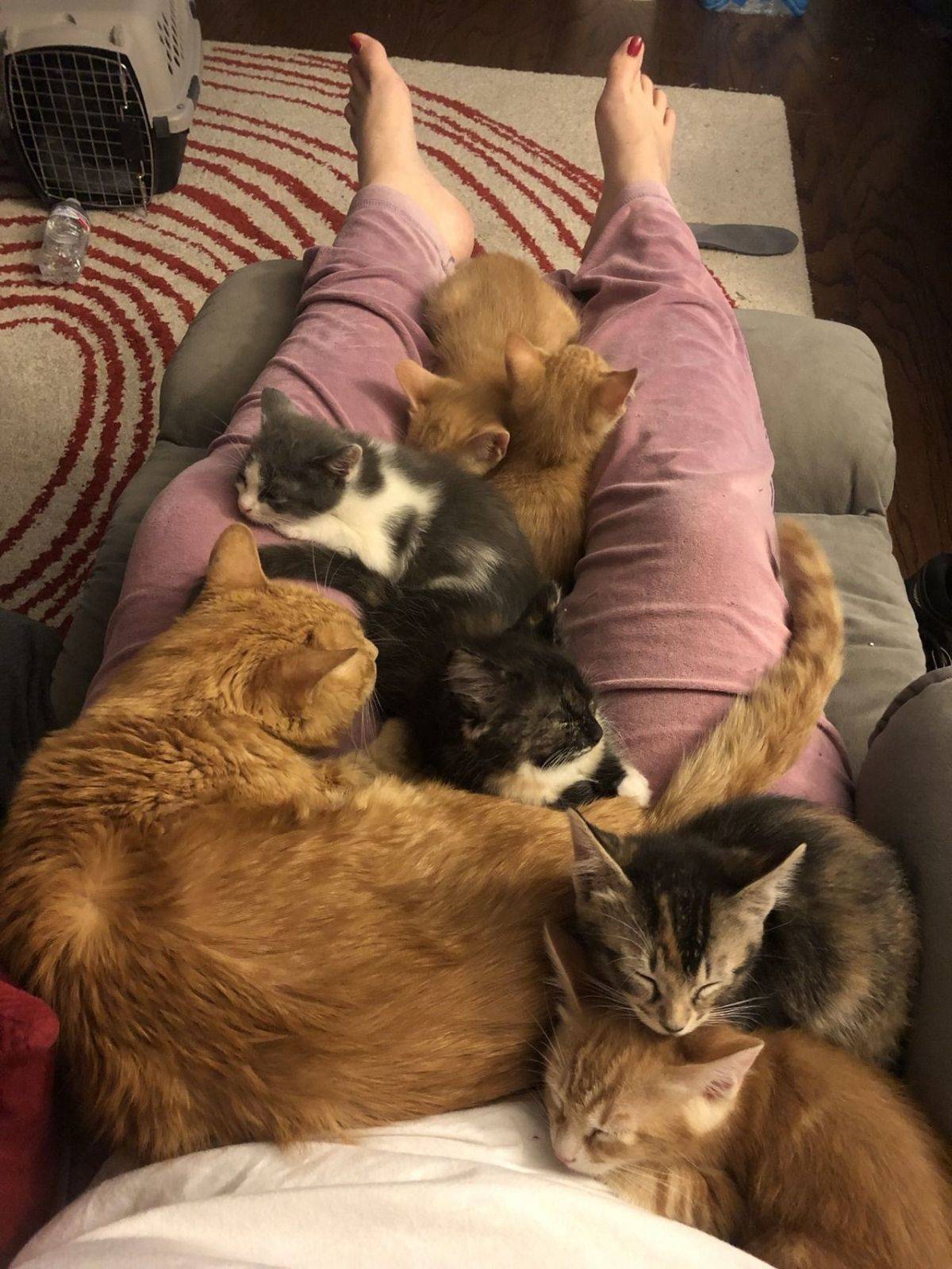 Daily Pictures. Part 1 (69 pics)