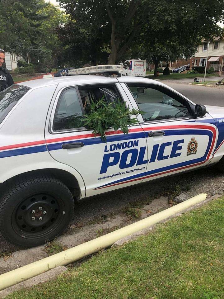 Daily Pictures. Part 1 (69 pics)