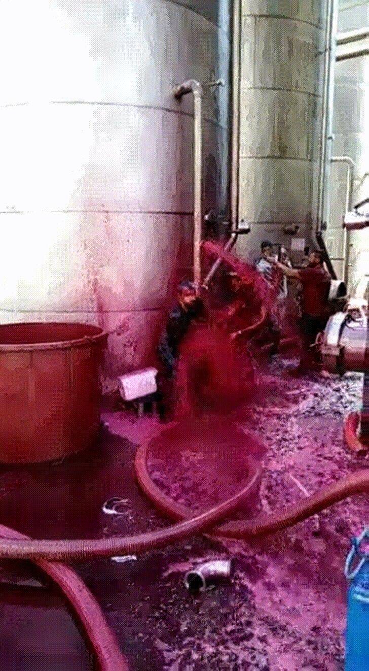 Daily Pictures. Part 1 (69 pics)