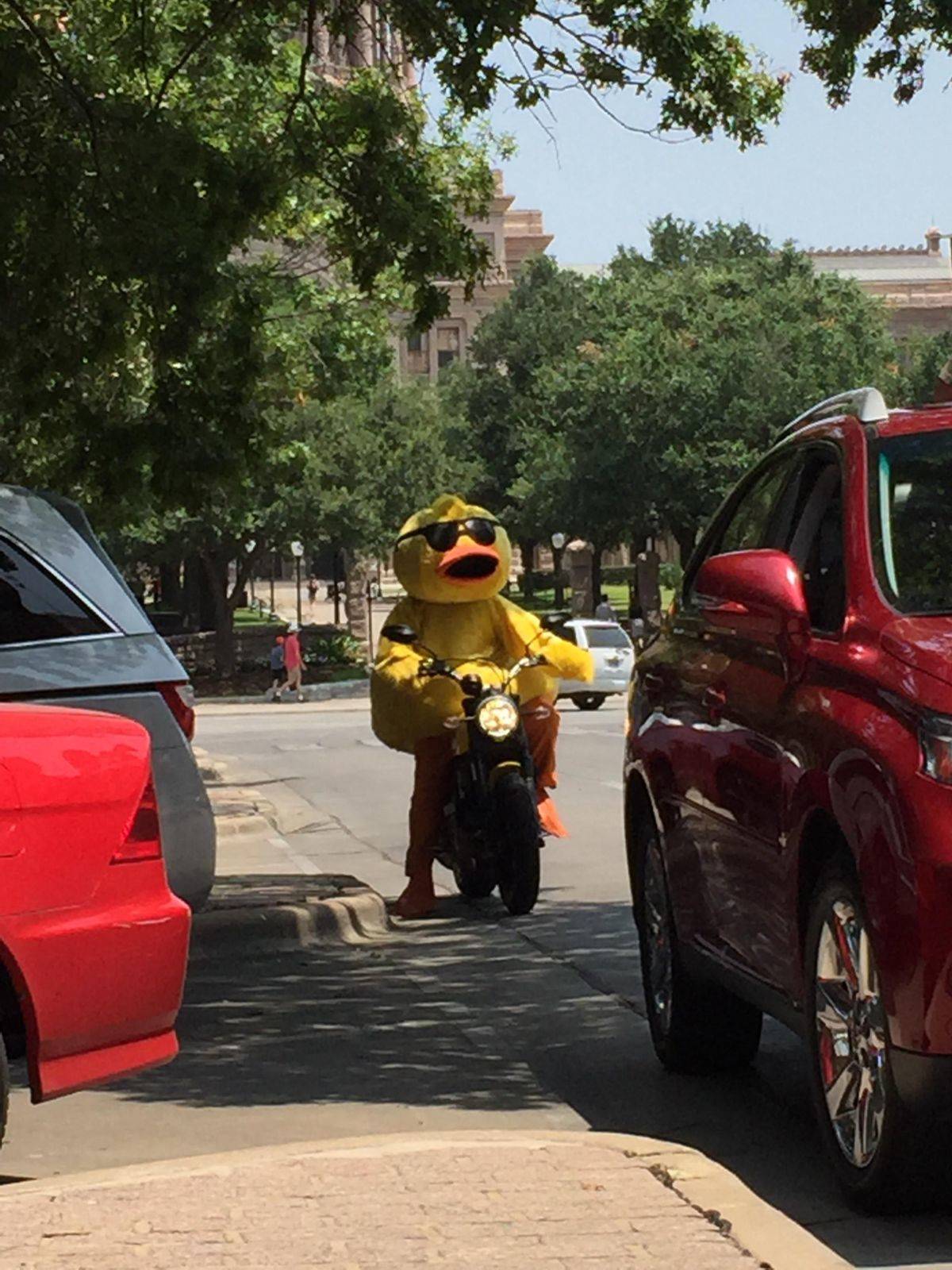 Daily Pictures. Part 1 (69 pics)