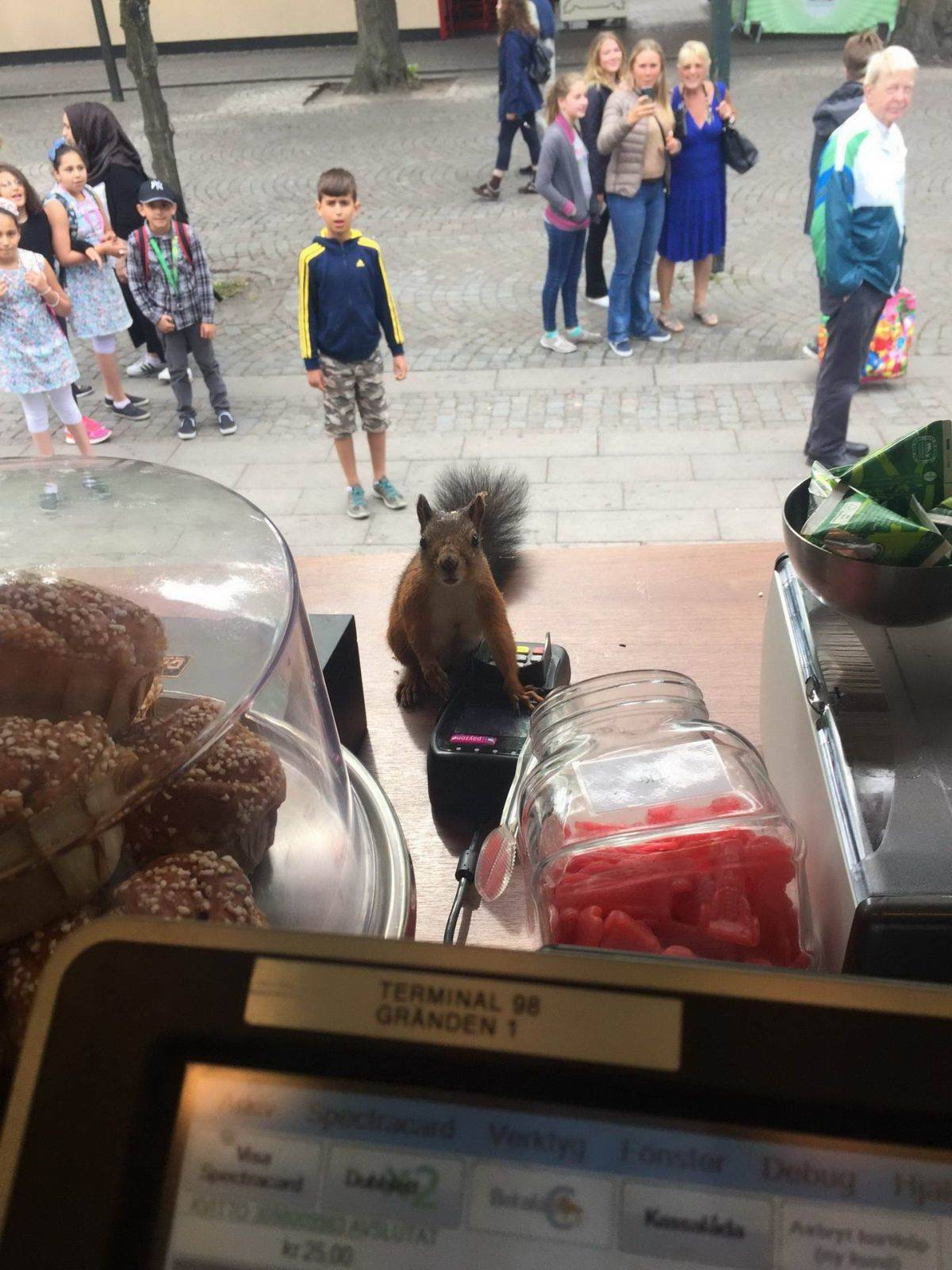 Daily Pictures. Part 1 (69 pics)