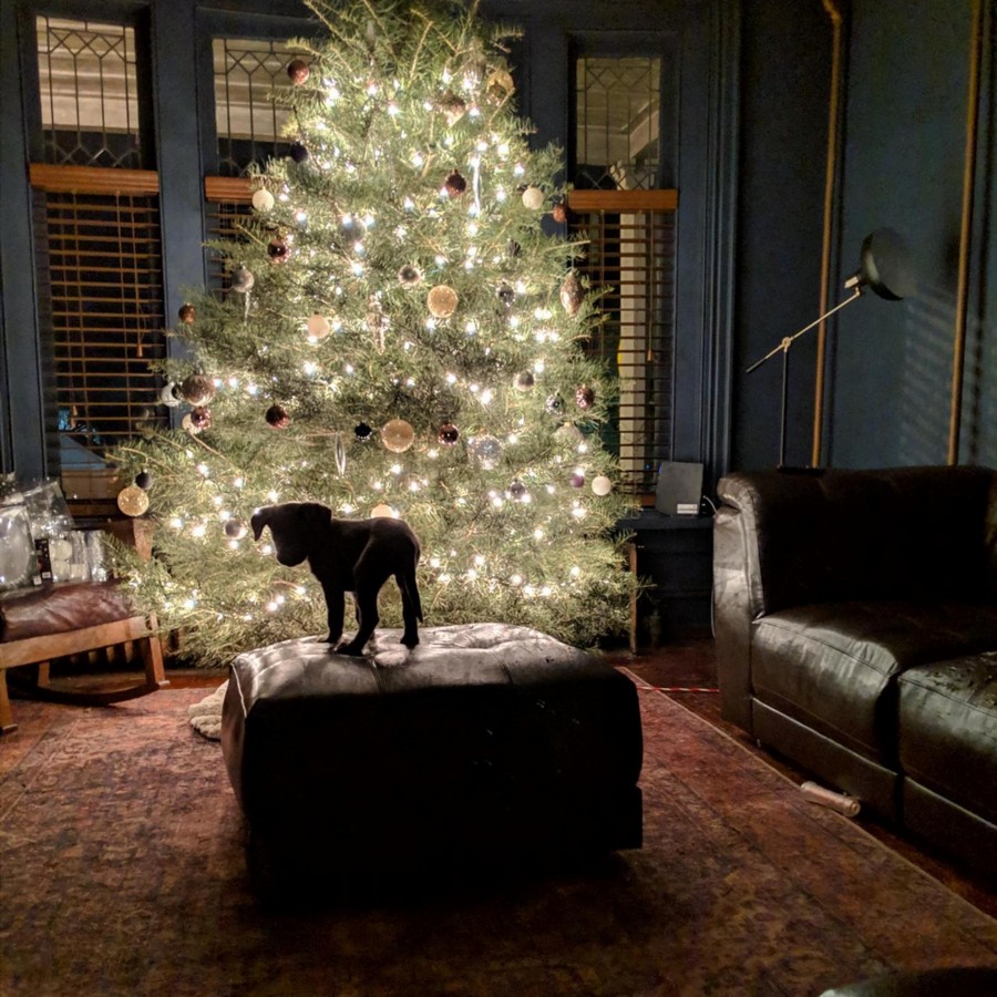 Daily Pictures. Part 1 (69 pics)