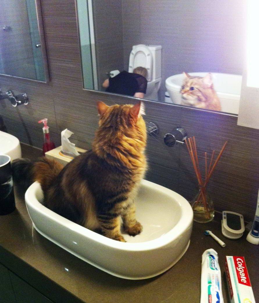 Daily Pictures. Part 2 (68 pics) Daily Pictures. Part 2 (68 pics)