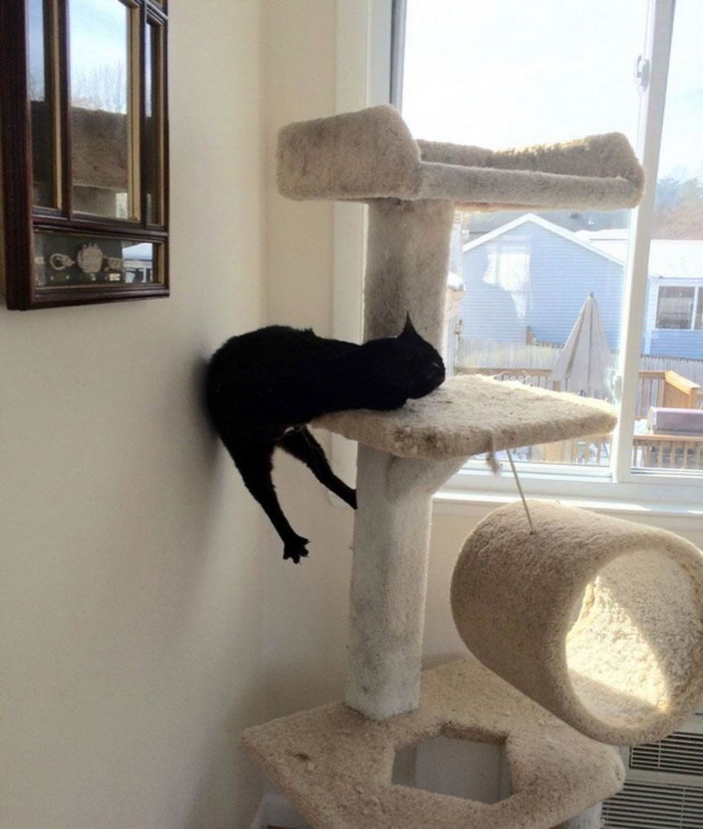 Daily Pictures. Part 2 (68 pics) Daily Pictures. Part 2 (68 pics)