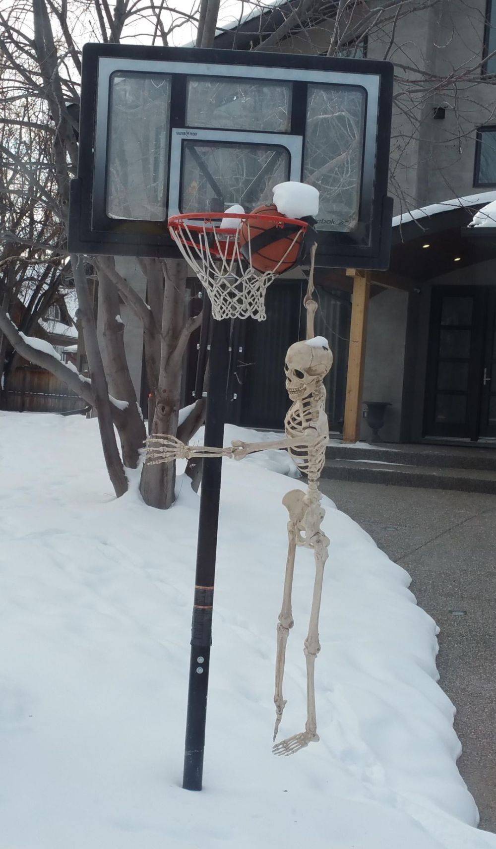 Daily Pictures. Part 2 (68 pics) Daily Pictures. Part 2 (68 pics)