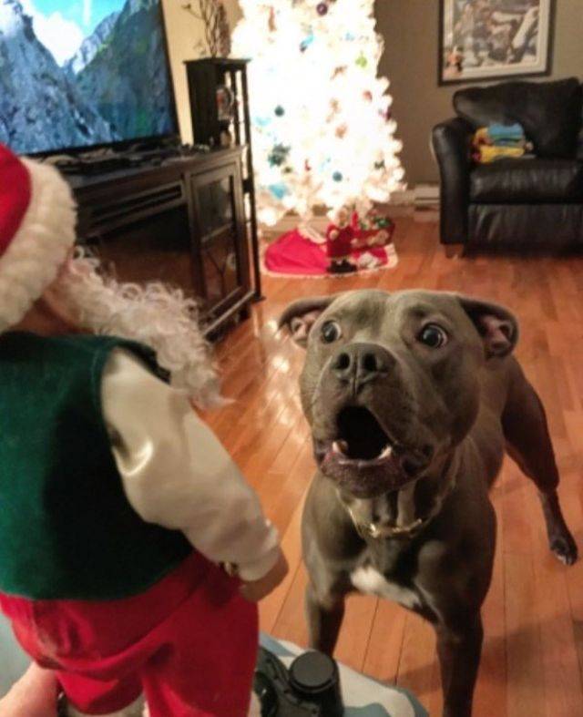 Daily Pictures. Part 1 (69 pics)