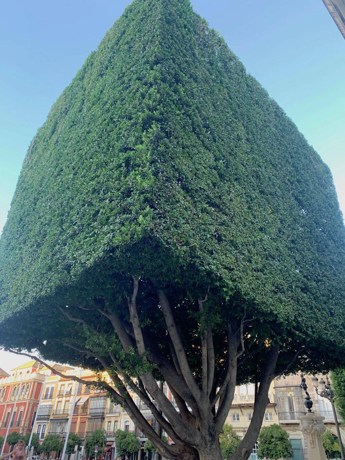 Daily Pictures. Part 2 (68 pics) Daily Pictures. Part 2 (68 pics)