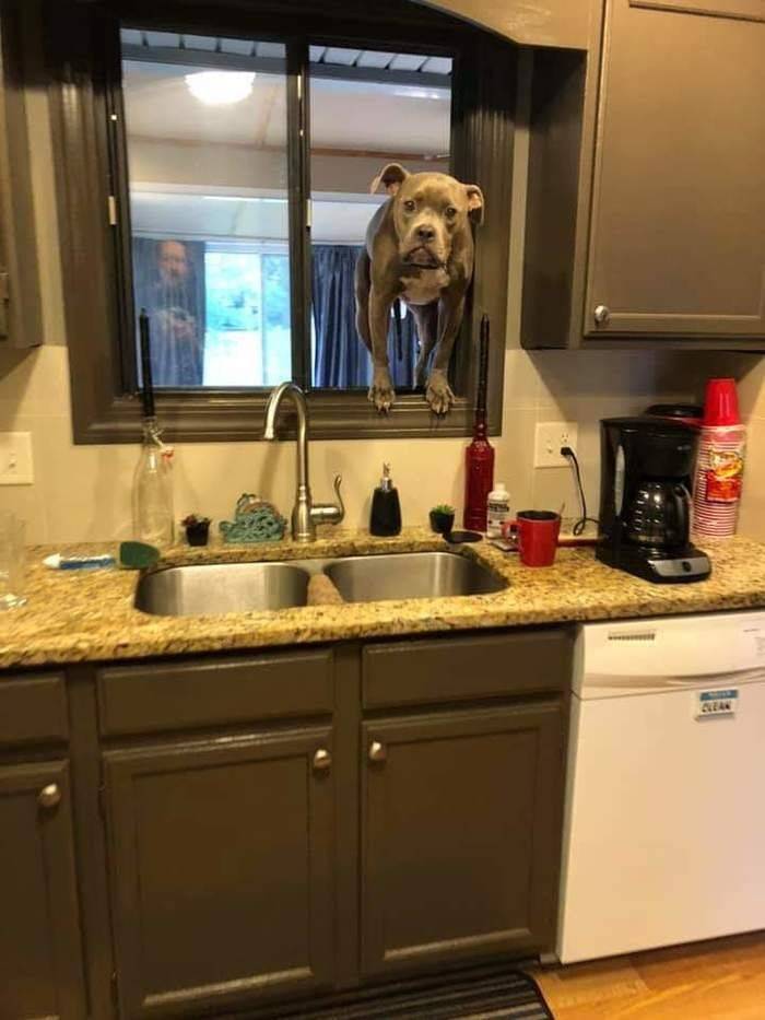 Daily Pictures. Part 2 (68 pics) Daily Pictures. Part 2 (68 pics)