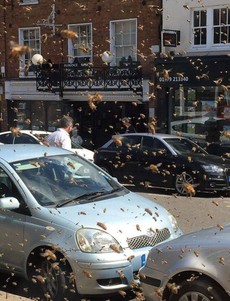 Daily Pictures. Part 1 (69 pics)