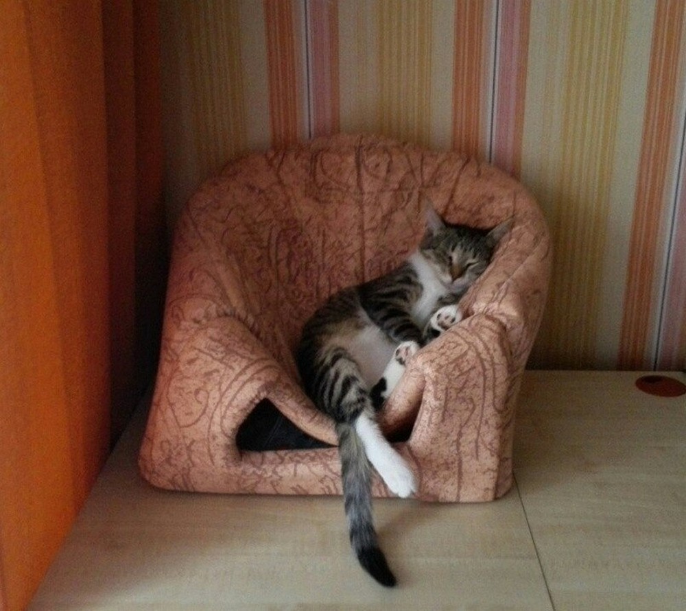 Daily Pictures. Part 2 (68 pics) Daily Pictures. Part 2 (68 pics)