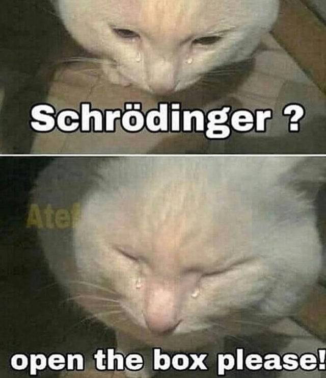 Daily Pictures. Part 2 (68 pics) Daily Pictures. Part 2 (68 pics)