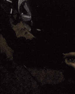 Acid GIFs, January 29 (25 gifs)