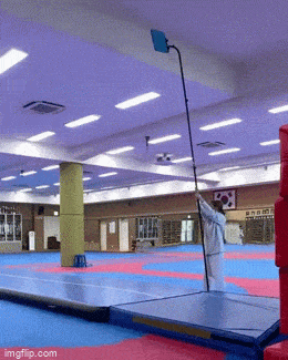 Acid GIFs, January 29 (25 gifs)