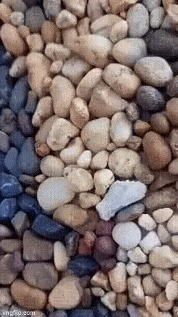 Acid GIFs, January 29 (25 gifs)