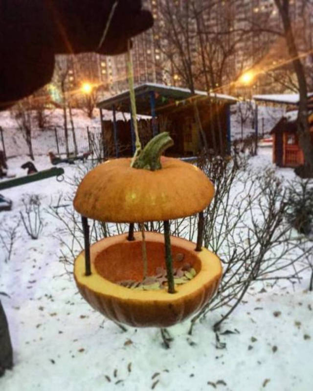 Redneck Inventions And Repairs (25 pics)