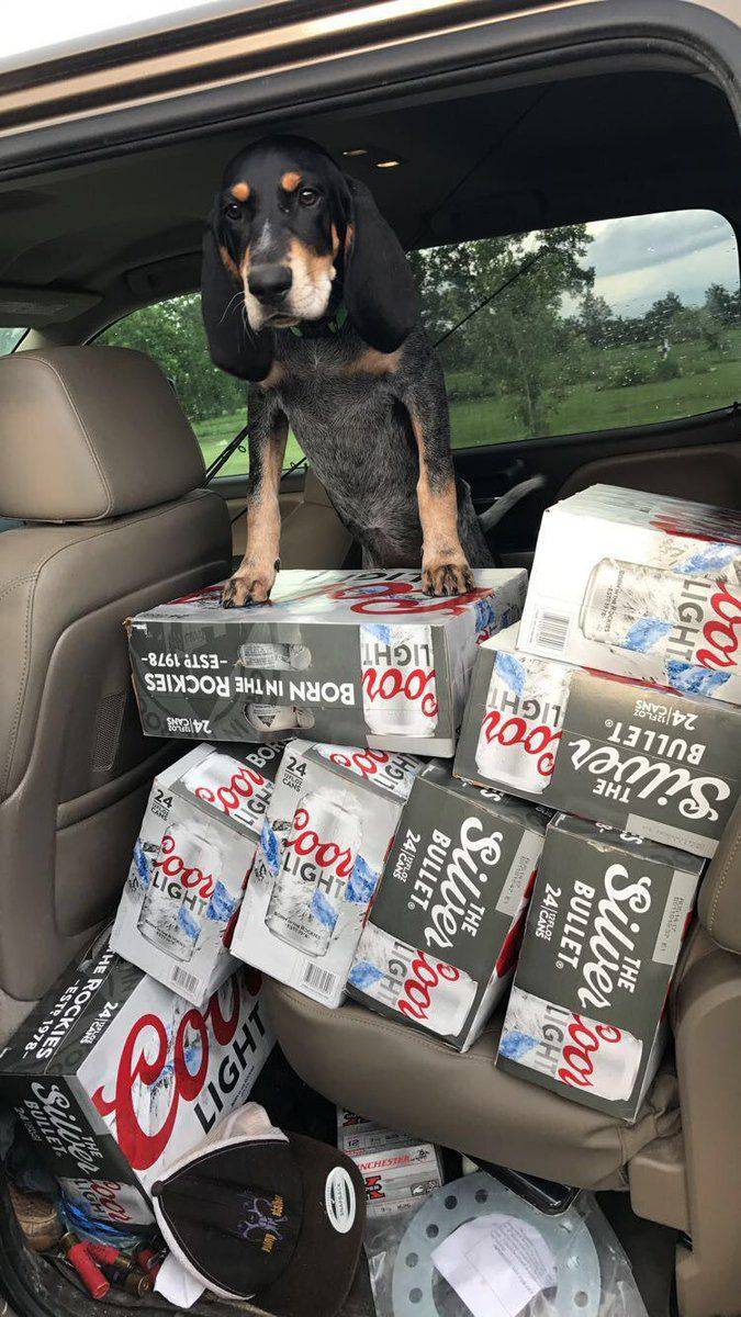 Daily Pictures. Part 1 (64 pics) Daily Pictures. Part 1 (64 pics)