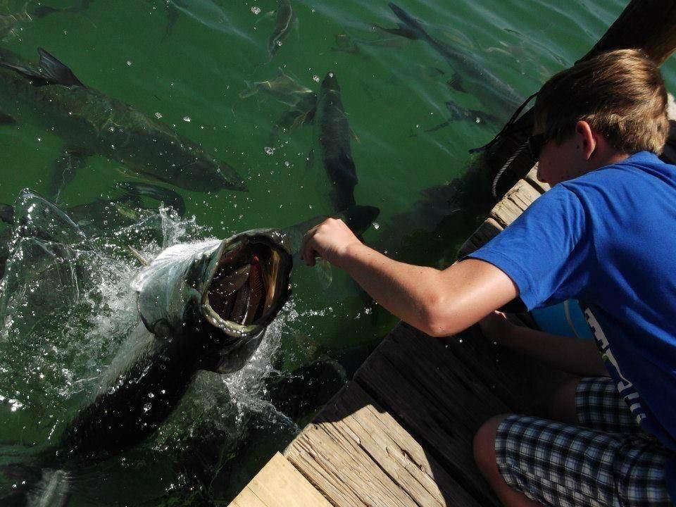 Daily Pictures. Part 1 (64 pics) Daily Pictures. Part 1 (64 pics)