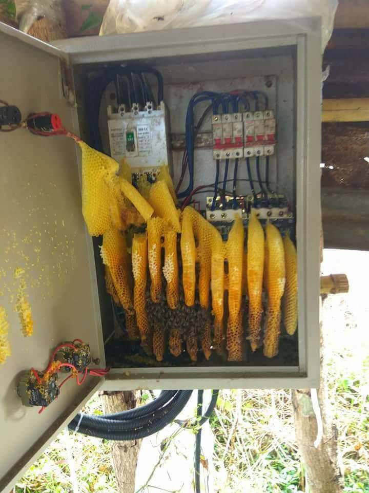 Daily Pictures. Part 1 (64 pics) Daily Pictures. Part 1 (64 pics)