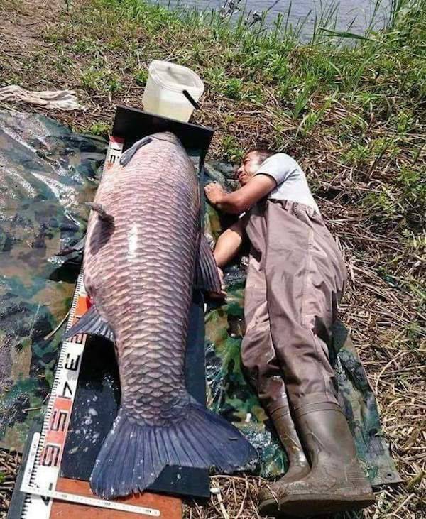 Daily Pictures. Part 1 (64 pics) Daily Pictures. Part 1 (64 pics)