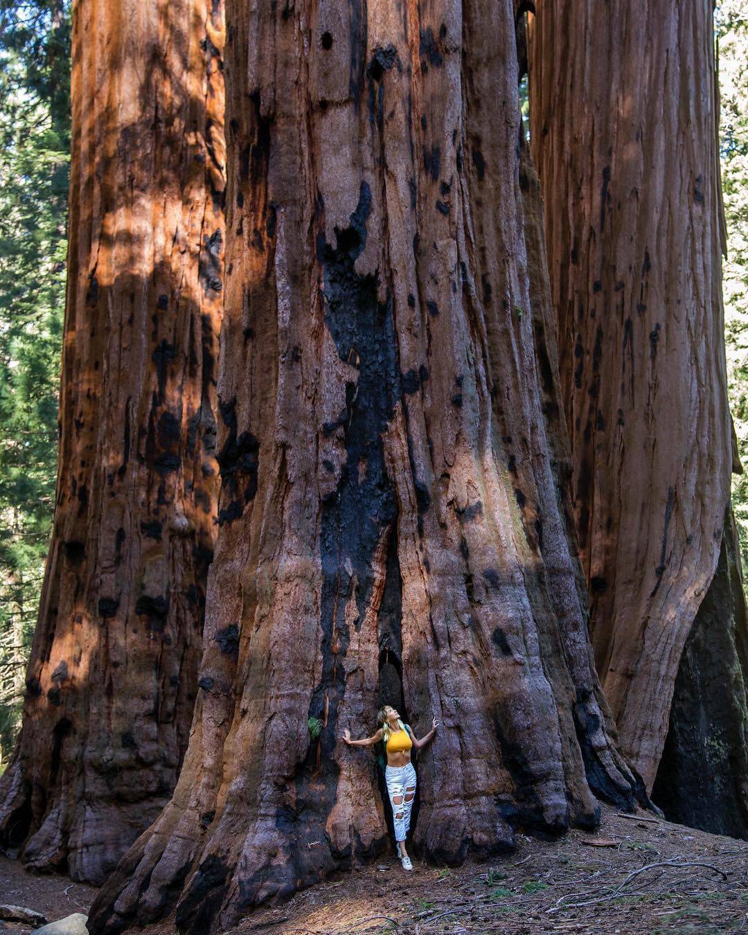 Daily Pictures. Part 1 (64 pics) Daily Pictures. Part 1 (64 pics)