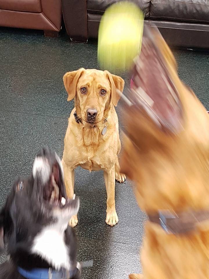 Daily Pictures. Part 1 (64 pics) Daily Pictures. Part 1 (64 pics)