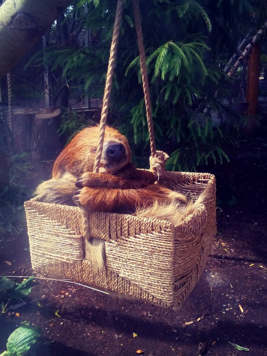 Daily Pictures. Part 1 (64 pics) Daily Pictures. Part 1 (64 pics)