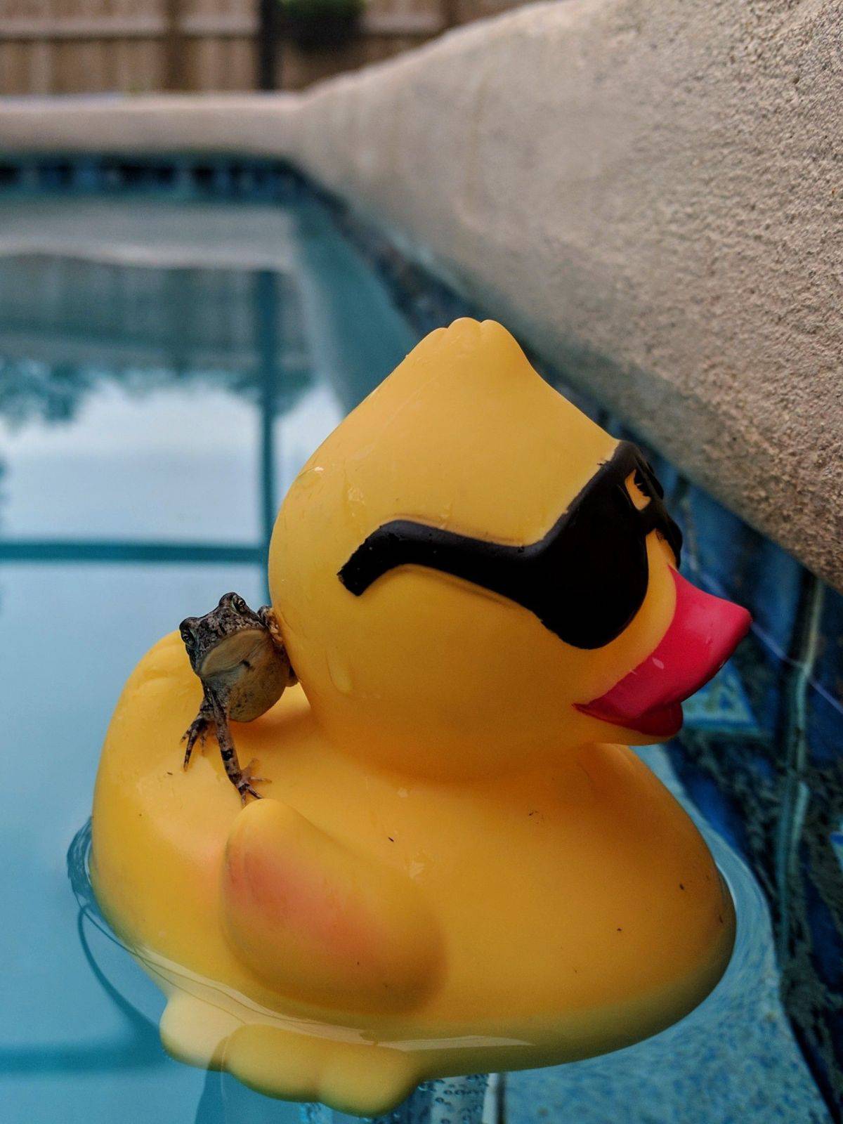 Daily Pictures. Part 1 (64 pics) Daily Pictures. Part 1 (64 pics)