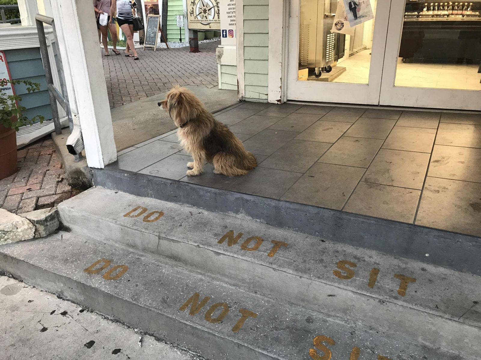 Daily Pictures. Part 1 (64 pics) Daily Pictures. Part 1 (64 pics)