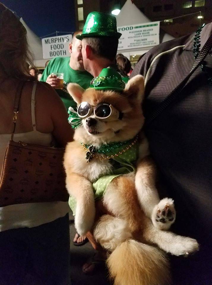 Daily Pictures. Part 1 (64 pics) Daily Pictures. Part 1 (64 pics)