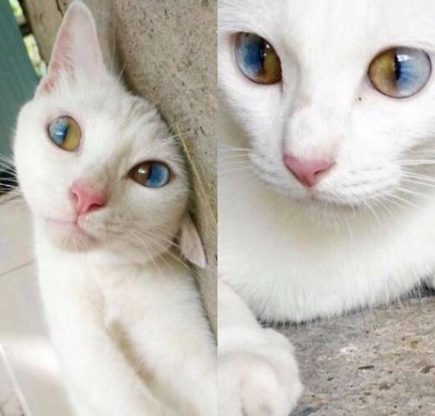 Daily Pictures. Part 1 (64 pics) Daily Pictures. Part 1 (64 pics)