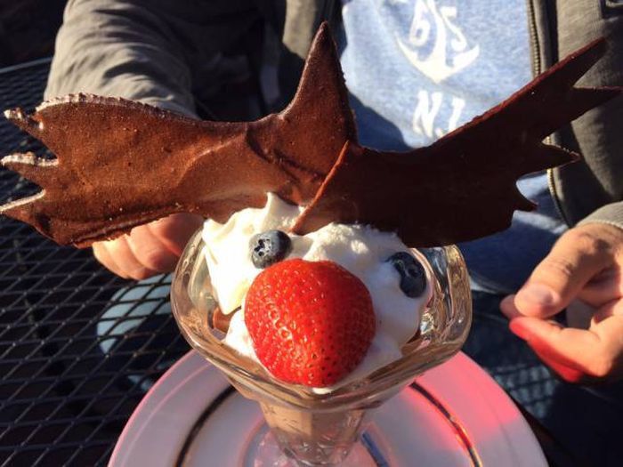 Daily Pictures. Part 1 (64 pics) Daily Pictures. Part 1 (64 pics)