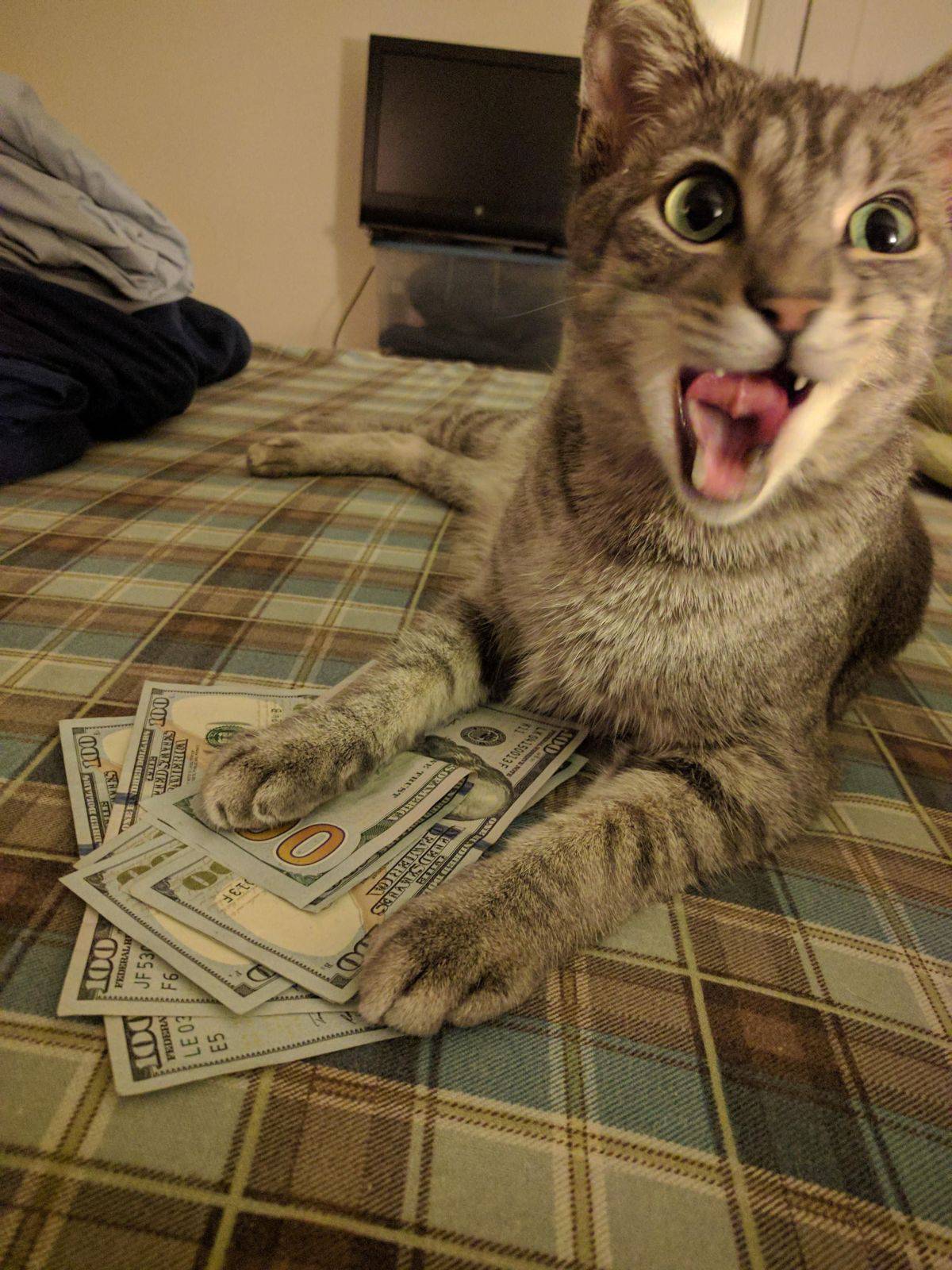 Daily Pictures. Part 1 (64 pics) Daily Pictures. Part 1 (64 pics)